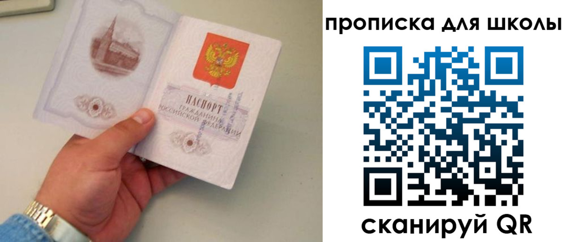 временная регистрация поиск в Ярославской области